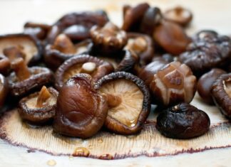 Грибы шиитаке: польза и противопоказания