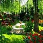 Что посадить у себя в саду