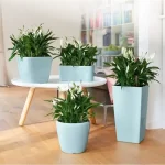 Кашпо LECHUZA: идеальное кашпо для ваших растений