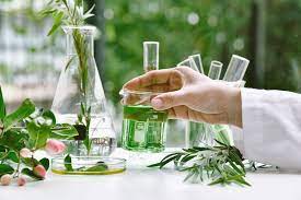 Преимущества органической косметики: естественный выбор для здоровья и красоты