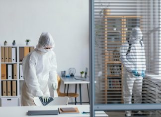 “Марафет”: уничтожение муравьев