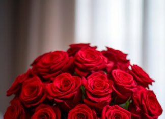 Секреты и особенности хранения срезанных цветов