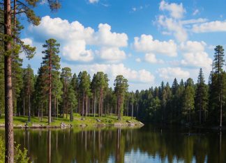 Что привлекает туристов для отдыха в Карелию?