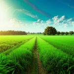 Методы межевания земельного участка