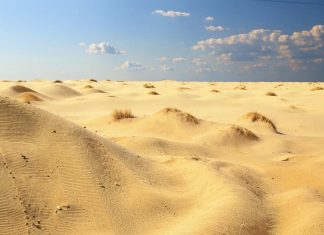 Использование песка в ремонтных и строительных работах