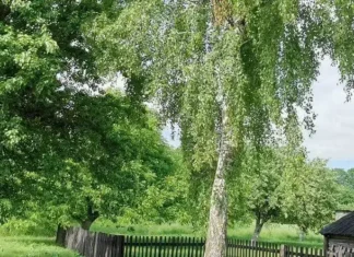 Какой сегодня праздник: 17 августа 2025 года