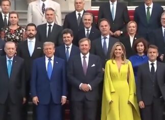 На саммите НАТО Зеленского поставили подальше от Трампа на общем фото: президент Украины даже надел костюм, опасаясь унижений