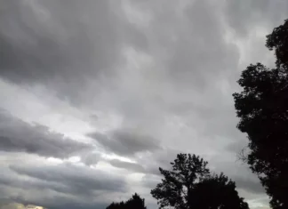 Погодные приметы на 21 июня 2025 года: что предупреждает об ухудшении погоды