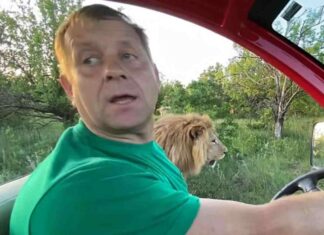 «Самое страшное — трупный яд»: Татьяна Алексагина рассказала о состоянии директора «Тайгана» Олега Зубкова