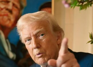 «У Зеленского нет выбора»: The Times раскрыла «высеченный на камне» план Трампа по территориям