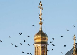 13 ноября — день Спиридона и Никодима или «Юровая»: что можно и чего нельзя делать в этот день