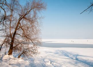 20 ноября — «Федот лед ведет»: о каком важном запрете не стоит забывать в этот день