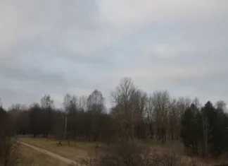 Какой сегодня праздник: 18 ноября 2025 года