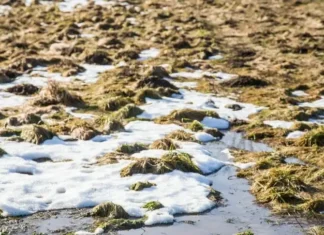 Какой сегодня праздник: 25 ноября 2025 года