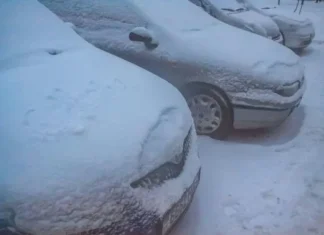 Оранжевый уровень опасности объявлен в Беларуси на 23 ноября: погода – как в декабре