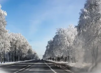 Синоптики предупредили белорусов: погода 19 ноября «подкинет» сюрпризы