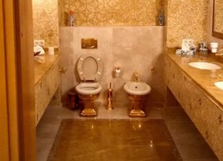 «Скоро этого Наполеона не будет»: золотой унитаз Миндича и признания Коломойского* окончательно «похоронят» Зеленского — СМИ