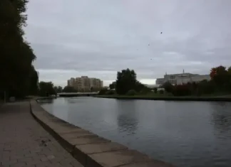 В Минске 12-летний мальчик упал в Свислочь с парапета: сам выбраться не смог