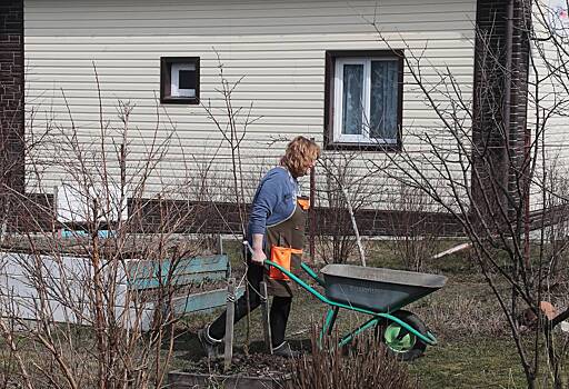 Дачников призвали расставить по огороду пятилитровые бутылки