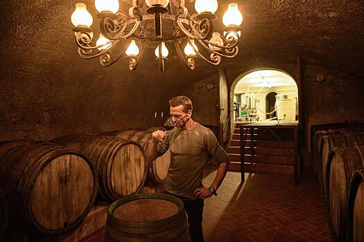 Пиво против вина: как во всем мире изменилось отношение к алкоголю