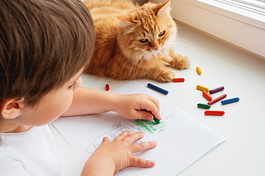 Почему нельзя переучивать левшей в детстве