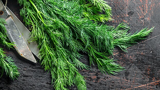 Как правильно заморозить укроп