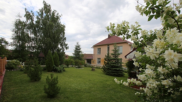 От каких плодовых деревьев на участке лучше отказаться