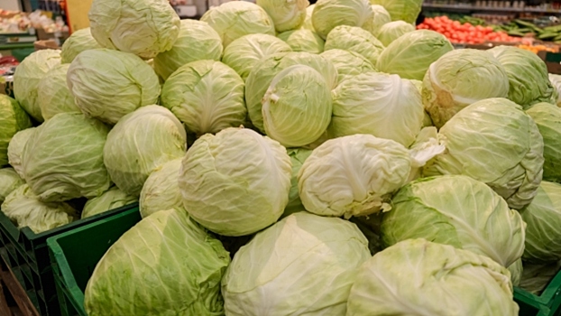 Как выбрать грунт для капусты