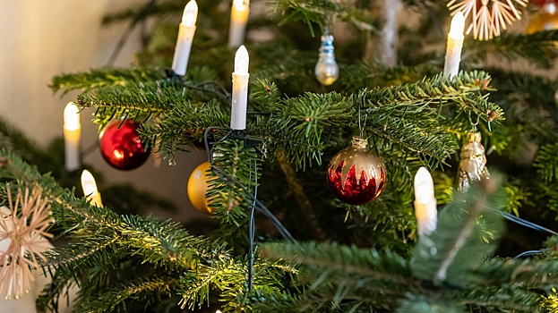 Дизайнер объяснила, как рассчитать оптимальную высоту елки в квартире