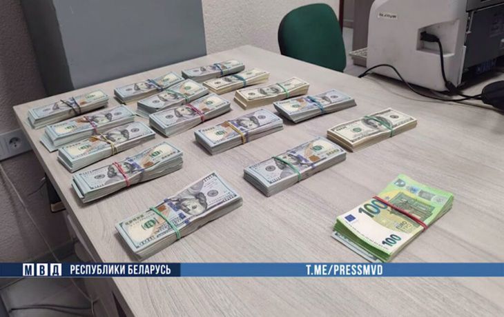 Бывший работник похитил у пенсионера в Воложинском районе $180 000