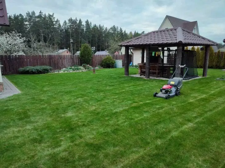 Чем, когда и как принято подкармливать газон у профессионалов: сделаете все так же — прохожие будут оборачиваться