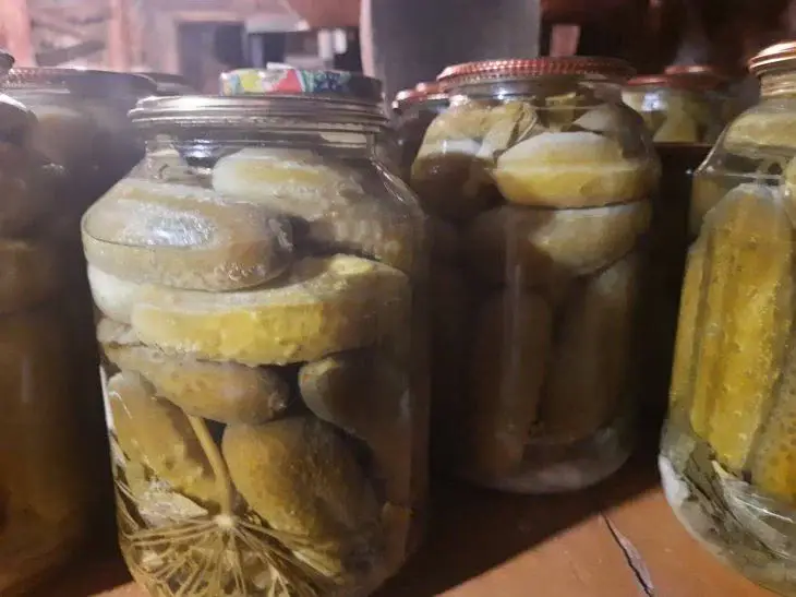 Что скрывают бабушкины рецепты: неожиданные ингредиенты для хрустящих огурцов