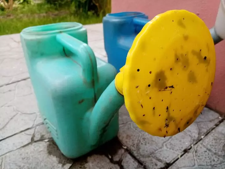 Что такое «сухой полив»? Метод, который спасет урожай огурцов без лейки