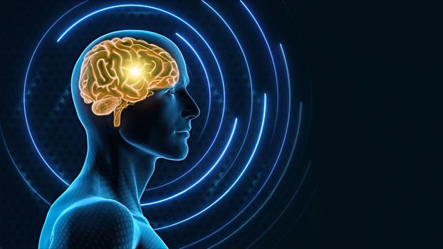 Исследование показало, как интеллект влияет на нравственность и мораль