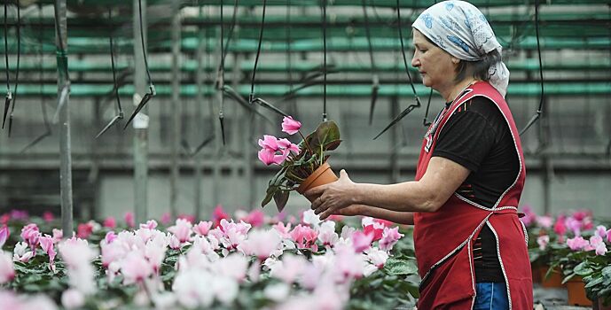 Какие цветы принято дарить учителям в разных странах