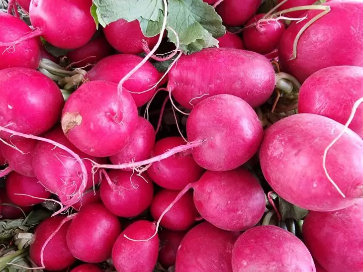 Как помочь редису нарастить крупные и сочные корнеплоды: используйте это средство