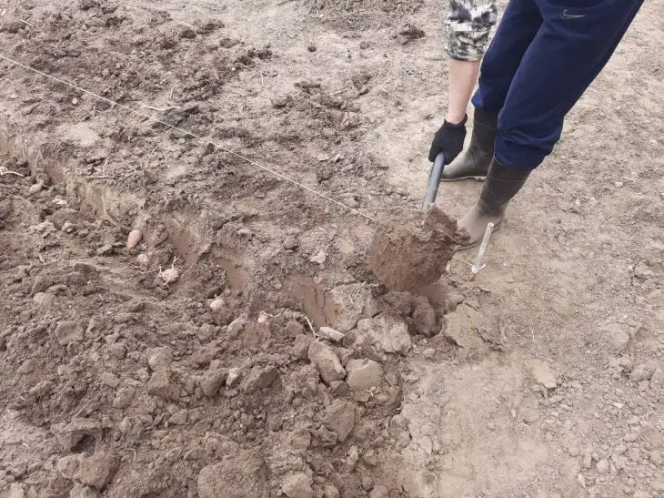 Как понять, что земля отдохнула: признаки, по которым она сама просится на посадки