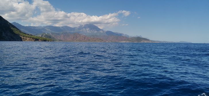 Какое животное самое громкое: его крик слышен за сотни километров