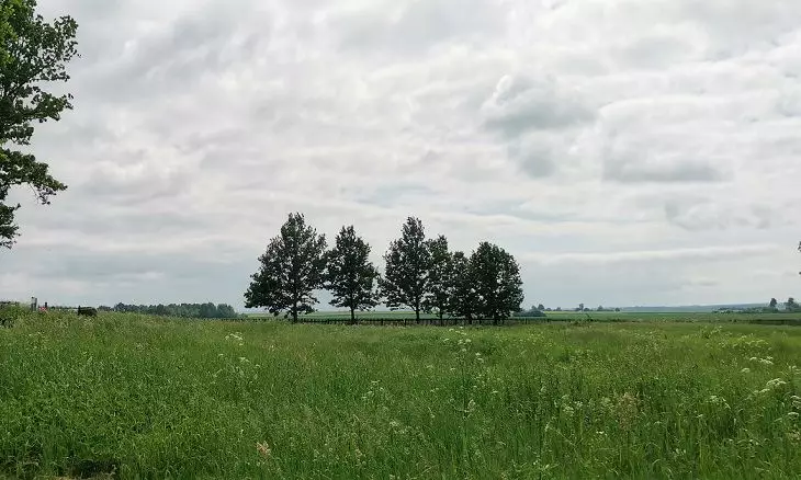 Какой будет вся вторая половина лета? Погодные приметы на 14 июля 2025 года