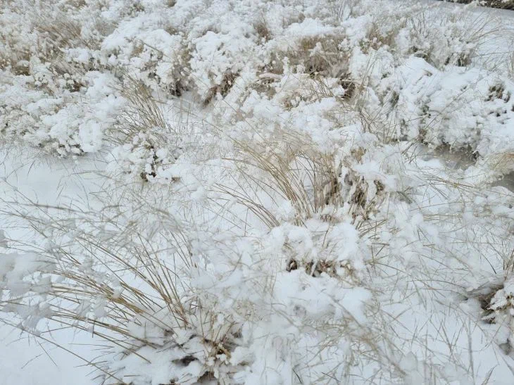 Какой сегодня праздник: 10 февраля 2025 года