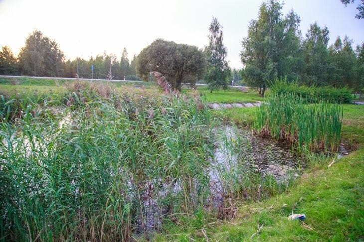 Какой сегодня праздник: 13 августа 2025 года