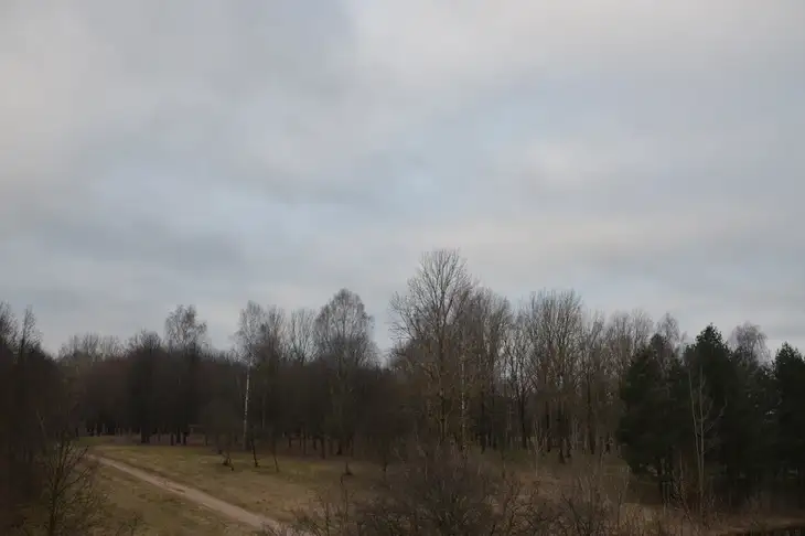 Какой сегодня праздник: 18 ноября 2025 года