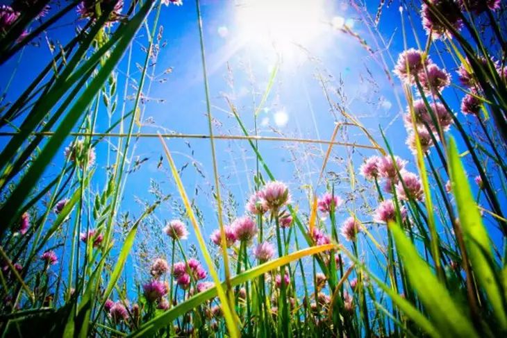 Какой сегодня праздник: 20 августа 2025 года