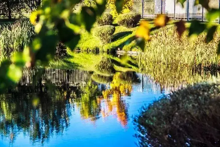 Какой сегодня праздник: 22 сентября 2025 года