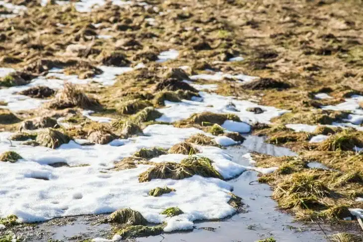 Какой сегодня праздник: 25 ноября 2025 года