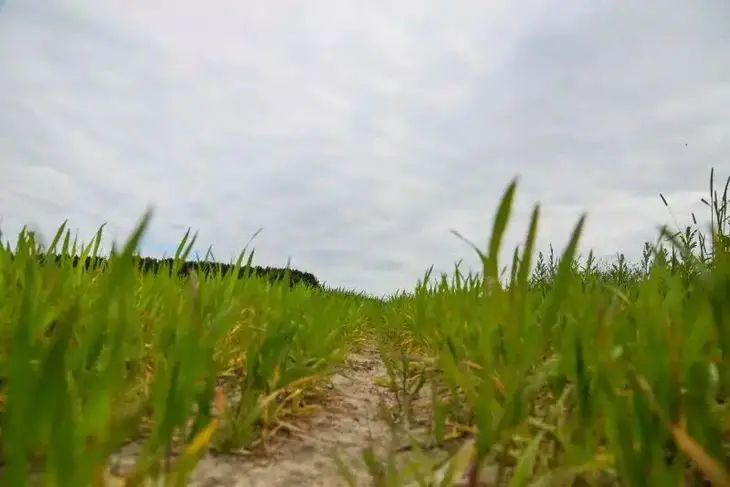 Какой сегодня праздник 27 августа 2025 года