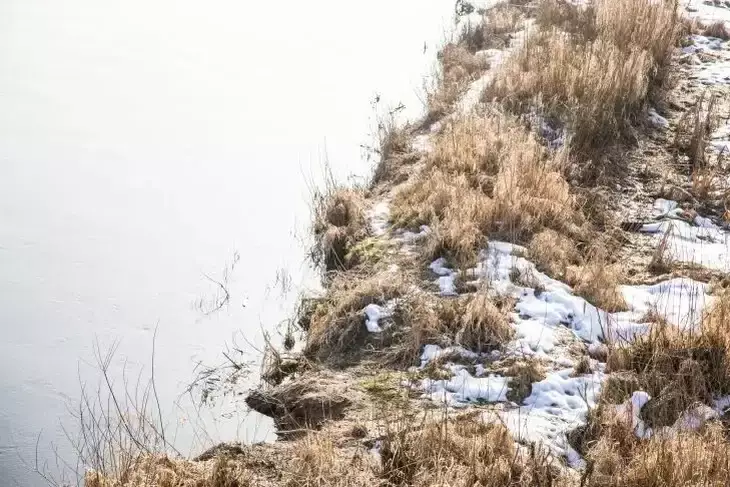 Какой сегодня праздник: 28 марта 2025 года