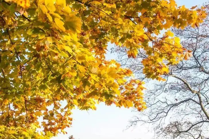 Какой сегодня праздник: 29 сентября 2025 года