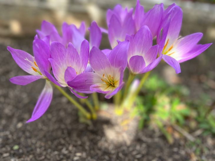 Какой сегодня праздник: 30 апреля 2025 года