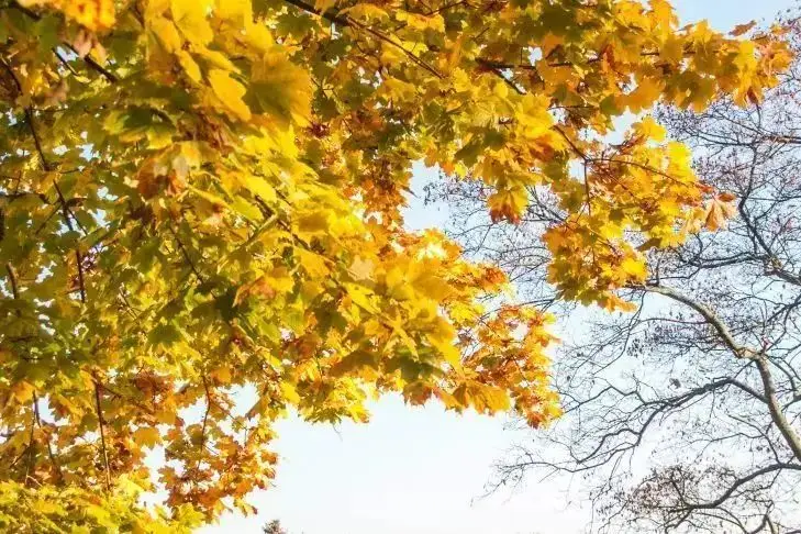 Какой сегодня праздник: 6 октября 2025 года